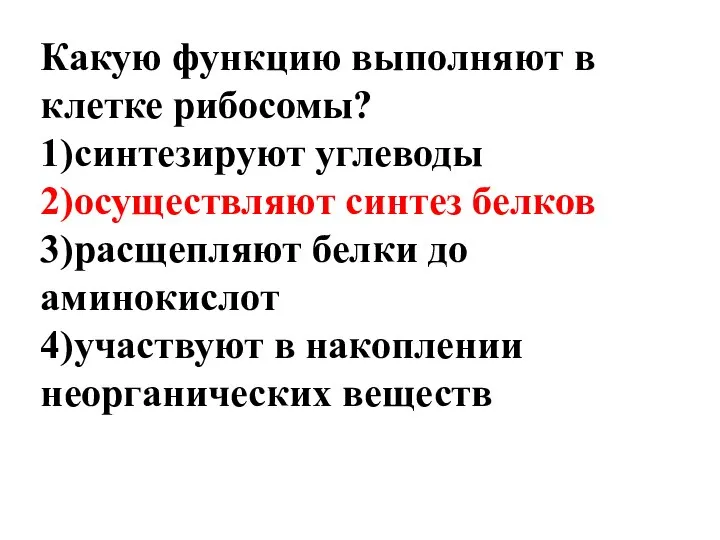 Какую функцию выполняют в клетке рибосомы? 1)синтезируют углеводы 2)осуществляют синтез белков