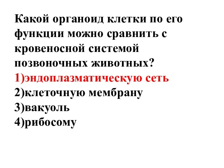 Какой органоид клетки по его функции можно сравнить с кровеносной системой