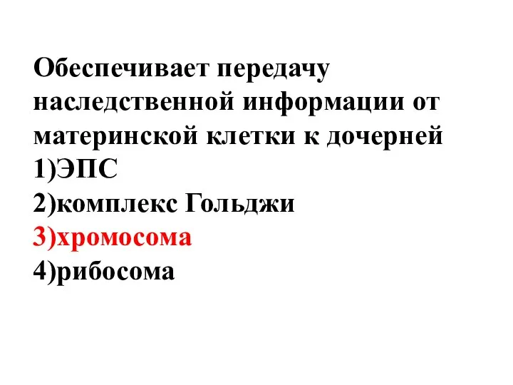 Обеспечивает передачу наследственной информации от материнской клетки к дочерней 1)ЭПС 2)комплекс Гольджи 3)хромосома 4)рибосома