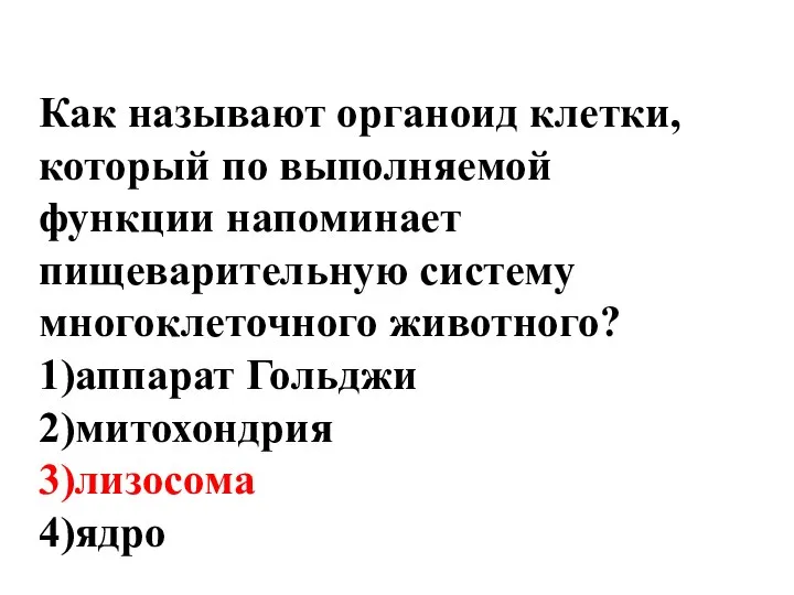 Как называют органоид клетки, который по выполняемой функции напоминает пищеварительную систему