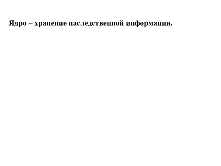 Ядро – хранение наследственной информации. Цитоплазма – вязкое внутреннее содержимое клетки.