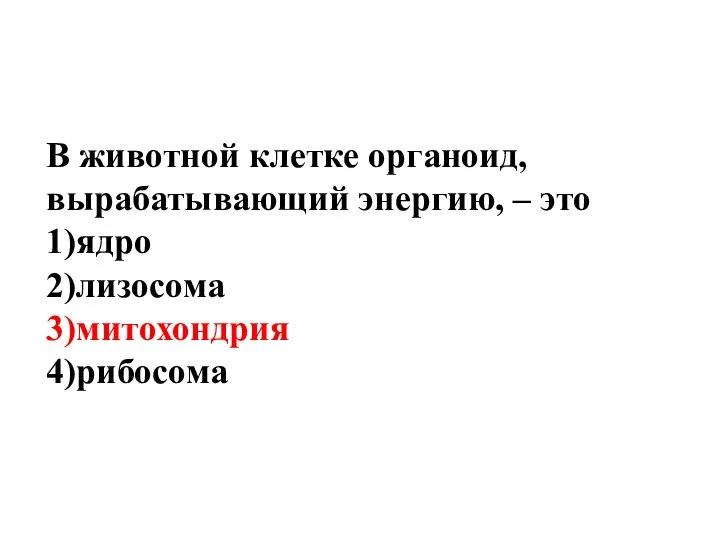 В животной клетке органоид, вырабатывающий энергию, – это 1)ядро 2)лизосома 3)митохондрия 4)рибосома