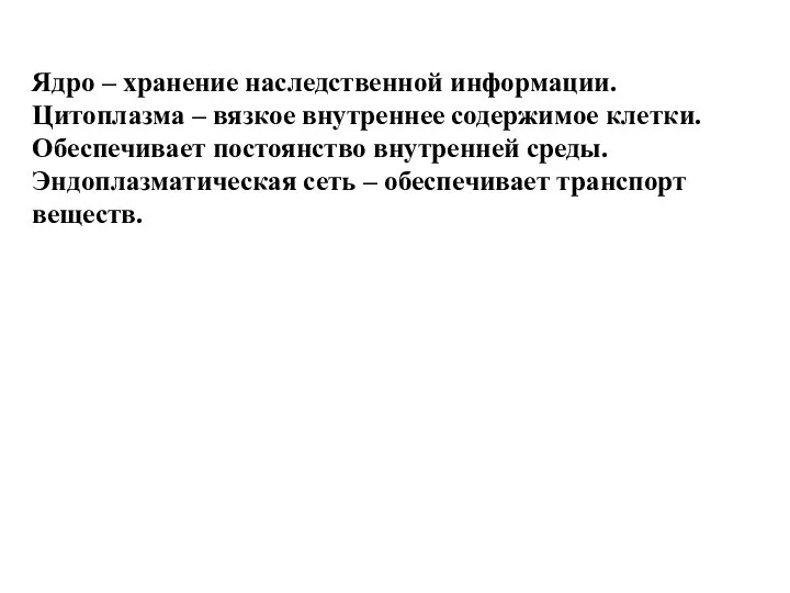 Ядро – хранение наследственной информации. Цитоплазма – вязкое внутреннее содержимое клетки.