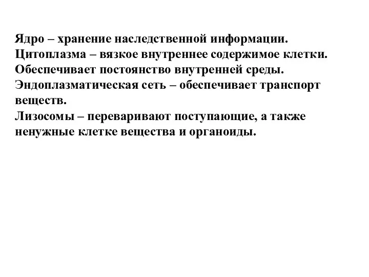 Ядро – хранение наследственной информации. Цитоплазма – вязкое внутреннее содержимое клетки.