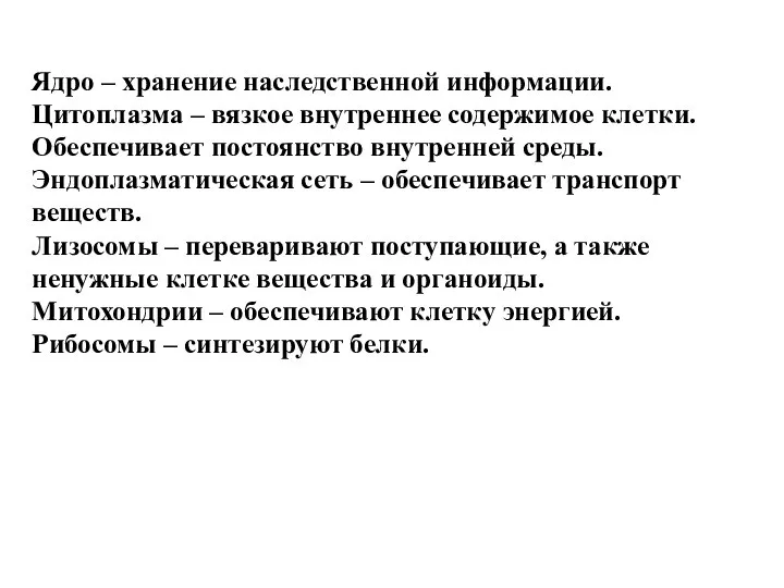 Ядро – хранение наследственной информации. Цитоплазма – вязкое внутреннее содержимое клетки.