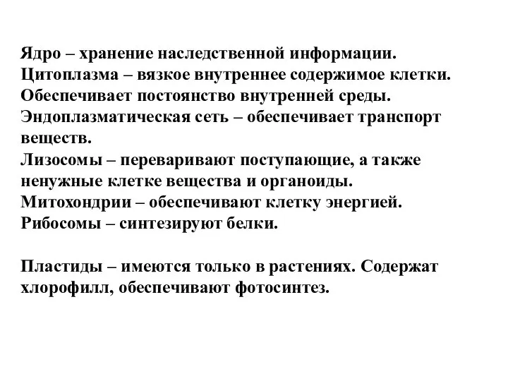 Ядро – хранение наследственной информации. Цитоплазма – вязкое внутреннее содержимое клетки.