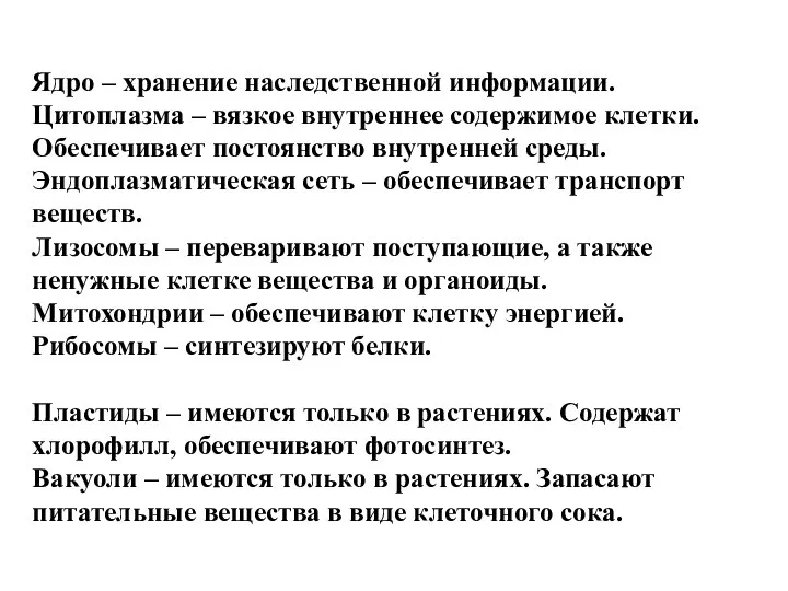 Ядро – хранение наследственной информации. Цитоплазма – вязкое внутреннее содержимое клетки.