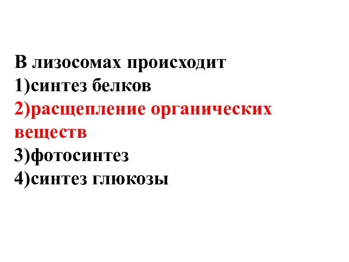 В лизосомах происходит 1)синтез белков 2)расщепление органических веществ 3)фотосинтез 4)синтез глюкозы