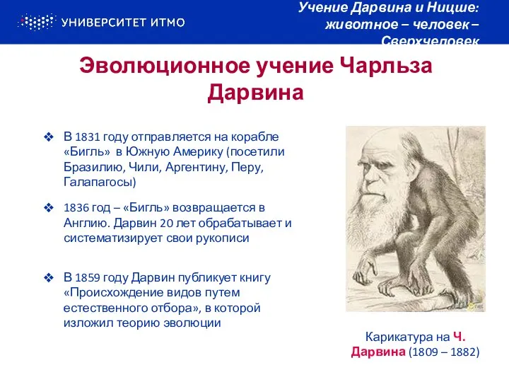 Эволюционное учение Чарльза Дарвина Учение Дарвина и Ницше: животное – человек