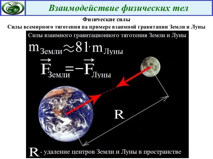 Физические силы Силы всемирного тяготения на примере взаимной гравитации Земли и Луны