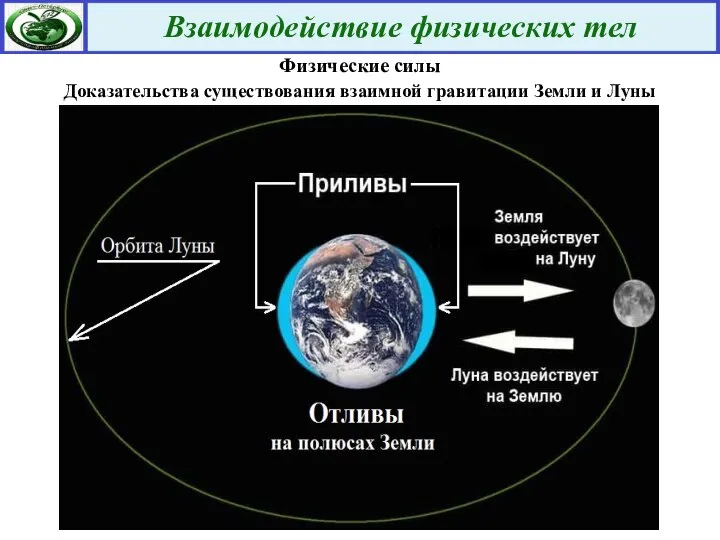 Физические силы Доказательства существования взаимной гравитации Земли и Луны