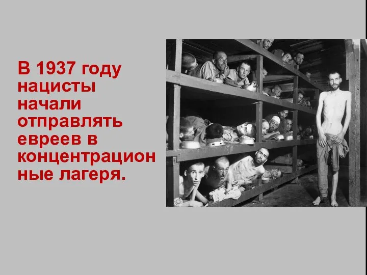 В 1937 году нацисты начали отправлять евреев в концентрационные лагеря.