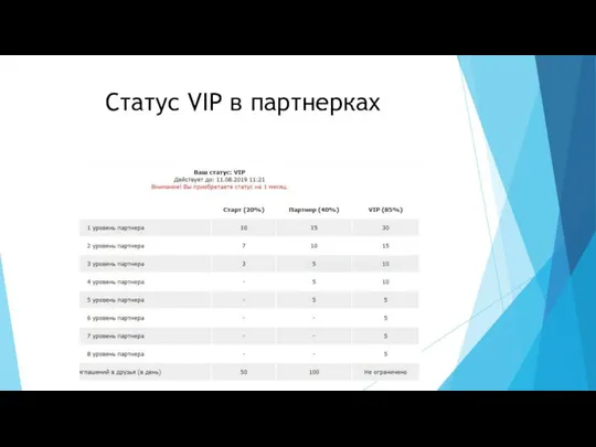 Статус VIP в партнерках