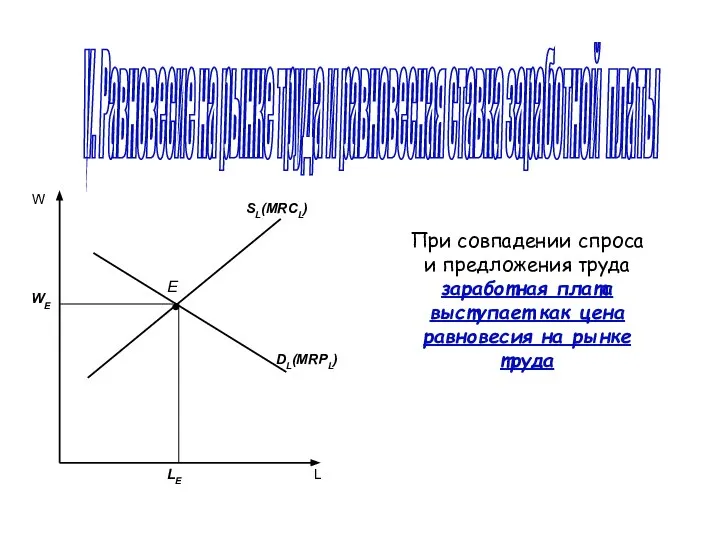 V. Равновесие на рынке труда и равновесная ставка заработной платы При