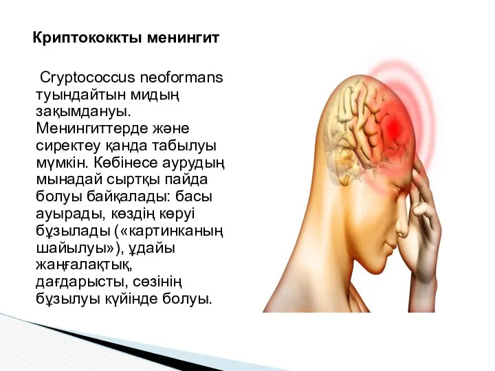 Криптококкты менингит Cryptococcus neoformans туындайтын мидың зақымдануы. Менингиттерде және сиректеу қанда