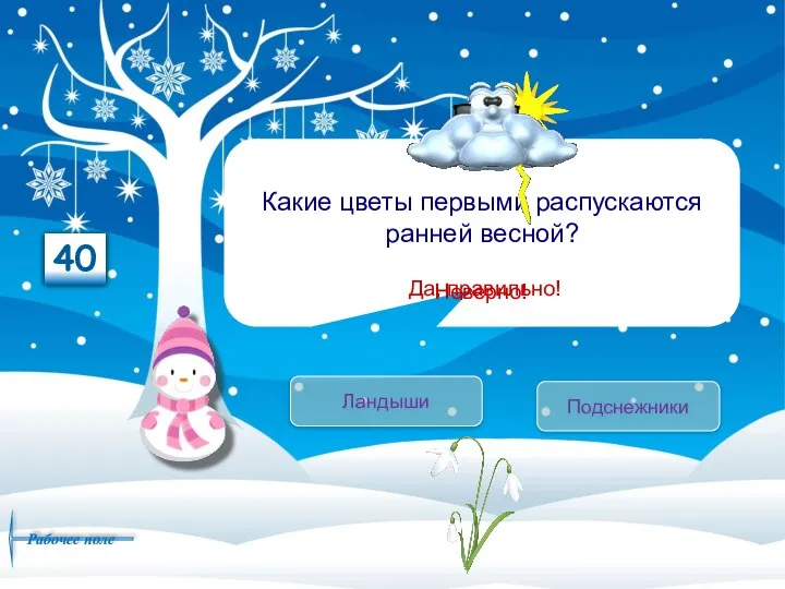 Какие цветы первыми распускаются ранней весной? Подснежники Ландыши Да, правильно! Неверно! 40 Рабочее поле