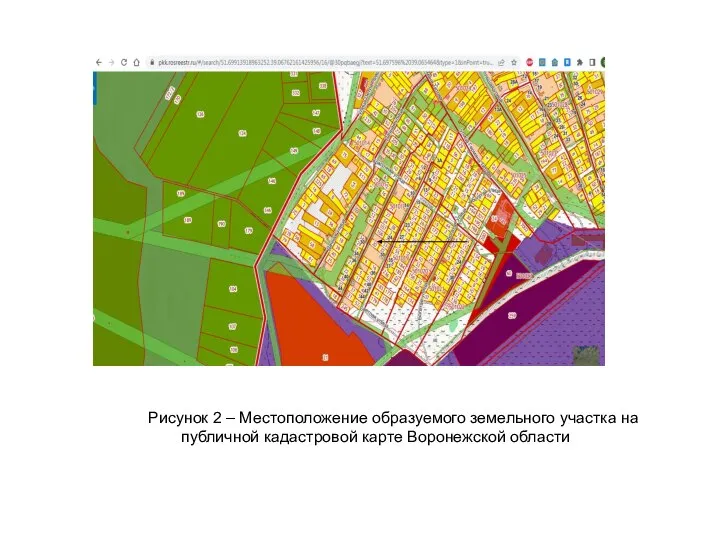 Рисунок 2 – Местоположение образуемого земельного участка на публичной кадастровой карте Воронежской области