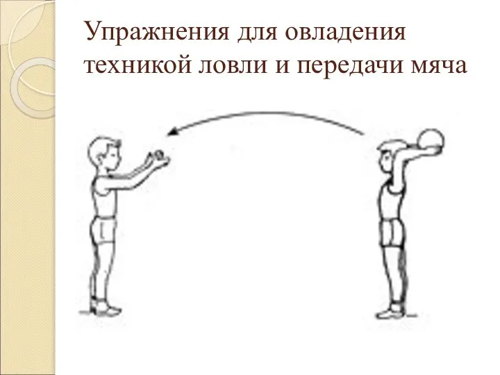 Упражнения для овладения техникой ловли и передачи мяча