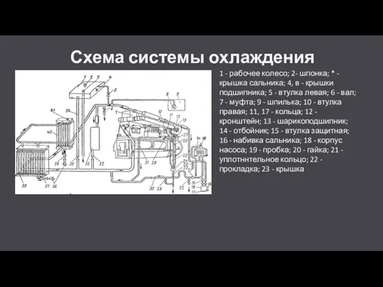 Схема системы охлаждения 1 - рабочее колесо; 2- шпонка; * -