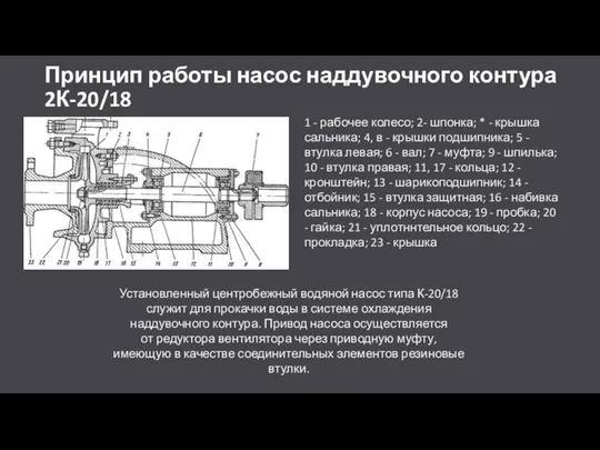 Принцип работы насос наддувочного контура 2К-20/18 1 - рабочее колесо; 2-