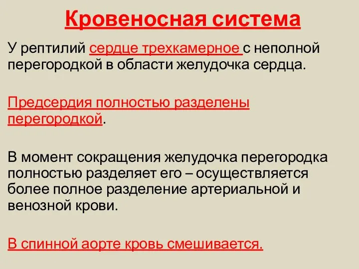 Кровеносная система У рептилий сердце трехкамерное с неполной перегородкой в области