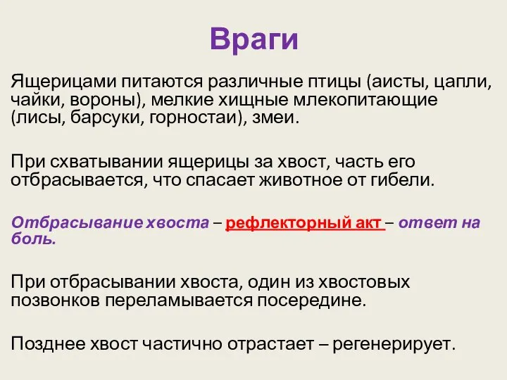 Враги Ящерицами питаются различные птицы (аисты, цапли, чайки, вороны), мелкие хищные