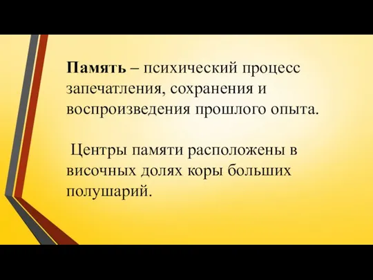 Память – психический процесс запечатления, сохранения и воспроизведения прошлого опыта. Центры