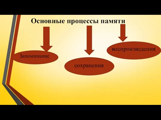 Основные процессы памяти воспроизведения сохранения Запоминание