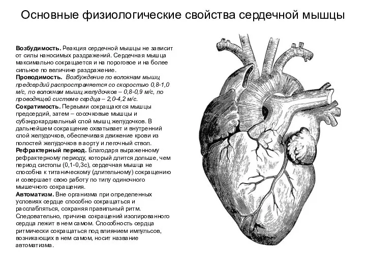 Основные физиологические свойства сердечной мышцы Возбудимость. Реакция сердечной мышцы не зависит