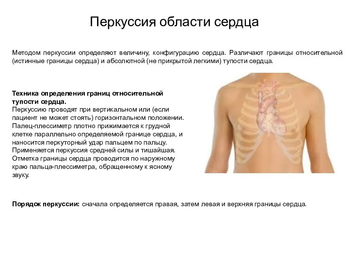 Перкуссия области сердца Методом перкуссии определяют величину, конфигурацию сердца. Различают границы