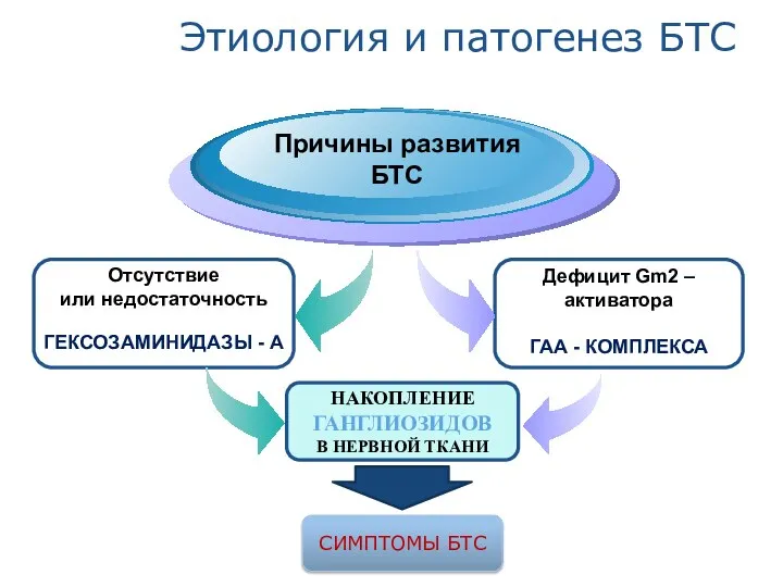 Этиология и патогенез БТС Отсутствие или недостаточность ГЕКСОЗАМИНИДАЗЫ - А Причины