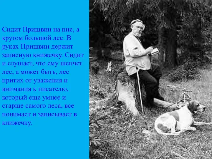 Сидит Пришвин на пне, а кругом большой лес. В руках Пришвин