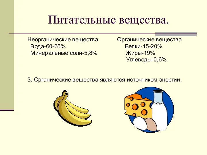 Питательные вещества. Неорганические вещества Органические вещества Вода-60-65% Белки-15-20% Минеральные соли-5,8% Жиры-19%