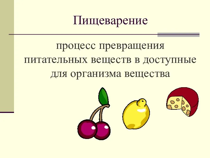 Пищеварение процесс превращения питательных веществ в доступные для организма вещества