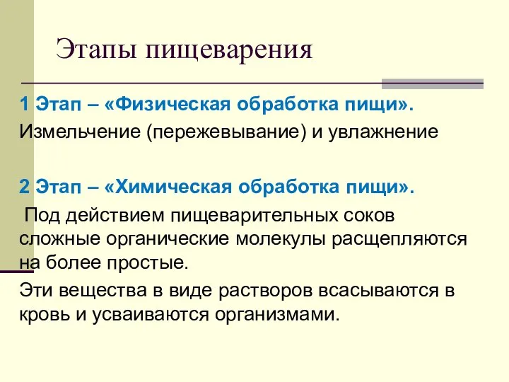 Этапы пищеварения 1 Этап – «Физическая обработка пищи». Измельчение (пережевывание) и