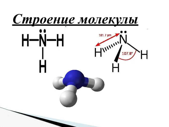 Строение молекулы