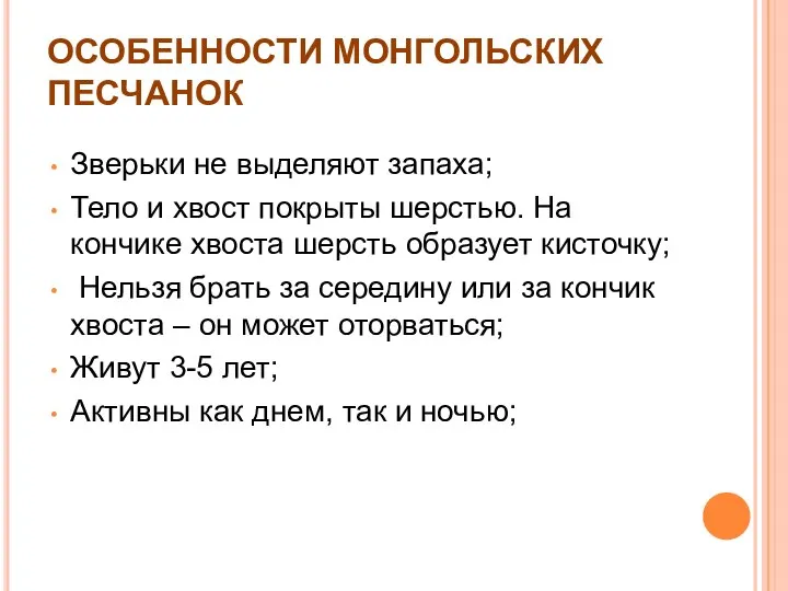 ОСОБЕННОСТИ МОНГОЛЬСКИХ ПЕСЧАНОК Зверьки не выделяют запаха; Тело и хвост покрыты