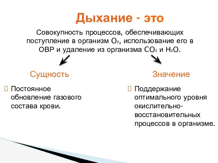 Сущность Значение Поддержание оптимального уровня окислительно-восстановительных процессов в организме. Постоянное обновление