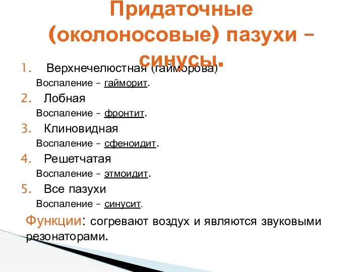 Верхнечелюстная (гайморова) Воспаление – гайморит. Лобная Воспаление – фронтит. Клиновидная Воспаление