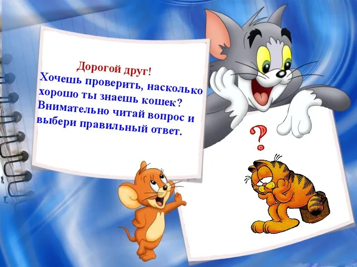 Дорогой друг! Хочешь проверить, насколько хорошо ты знаешь кошек? Внимательно читай вопрос и выбери правильный ответ.
