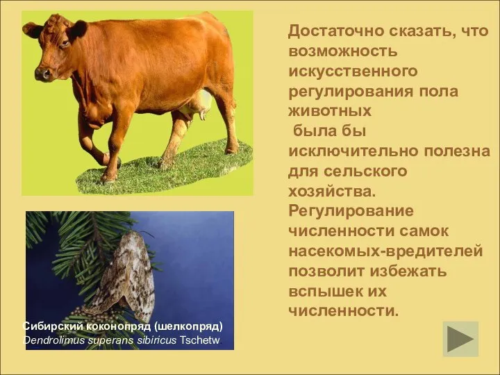 Достаточно сказать, что возможность искусственного регулирования пола животных была бы исключительно