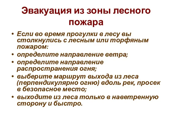 Эвакуация из зоны лесного пожара Если во время прогулки в лесу