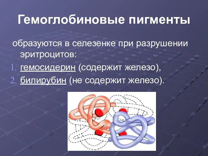 Гемоглобиновые пигменты образуются в селезенке при разрушении эритроцитов: гемосидерин (содержит железо), билирубин (не содержит железо).