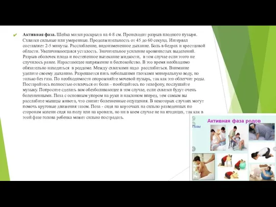 Активная фаза. Шейка матки раскрыта на 4-8 см. Происходит разрыв плодного