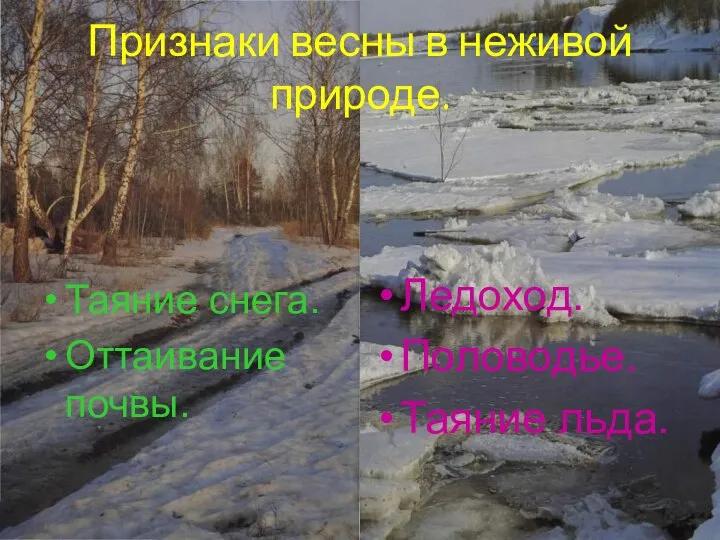 Признаки весны в неживой природе. Таяние снега. Оттаивание почвы. Ледоход. Половодье. Таяние льда.