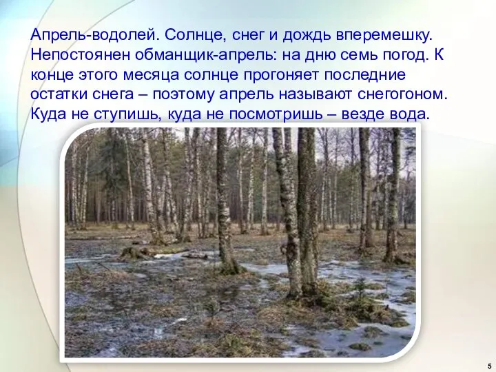 Апрель-водолей. Солнце, снег и дождь вперемешку. Непостоянен обманщик-апрель: на дню семь