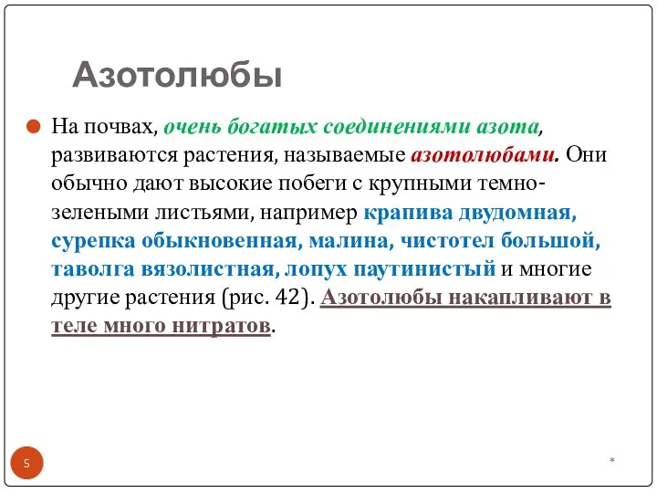 Азотолюбы * На почвах, очень богатых соединениями азота, развиваются растения, называемые