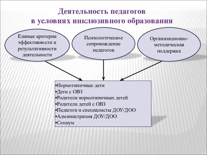 Деятельность педагогов в условиях инклюзивного образования Единые критерии эффективности и результативности