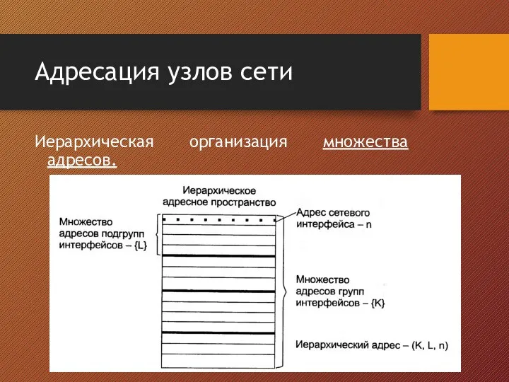 Адресация узлов сети Иерархическая организация множества адресов.