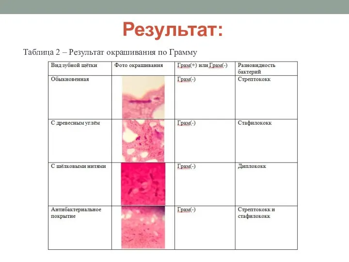 Результат: Таблица 2 – Результат окрашивания по Грамму